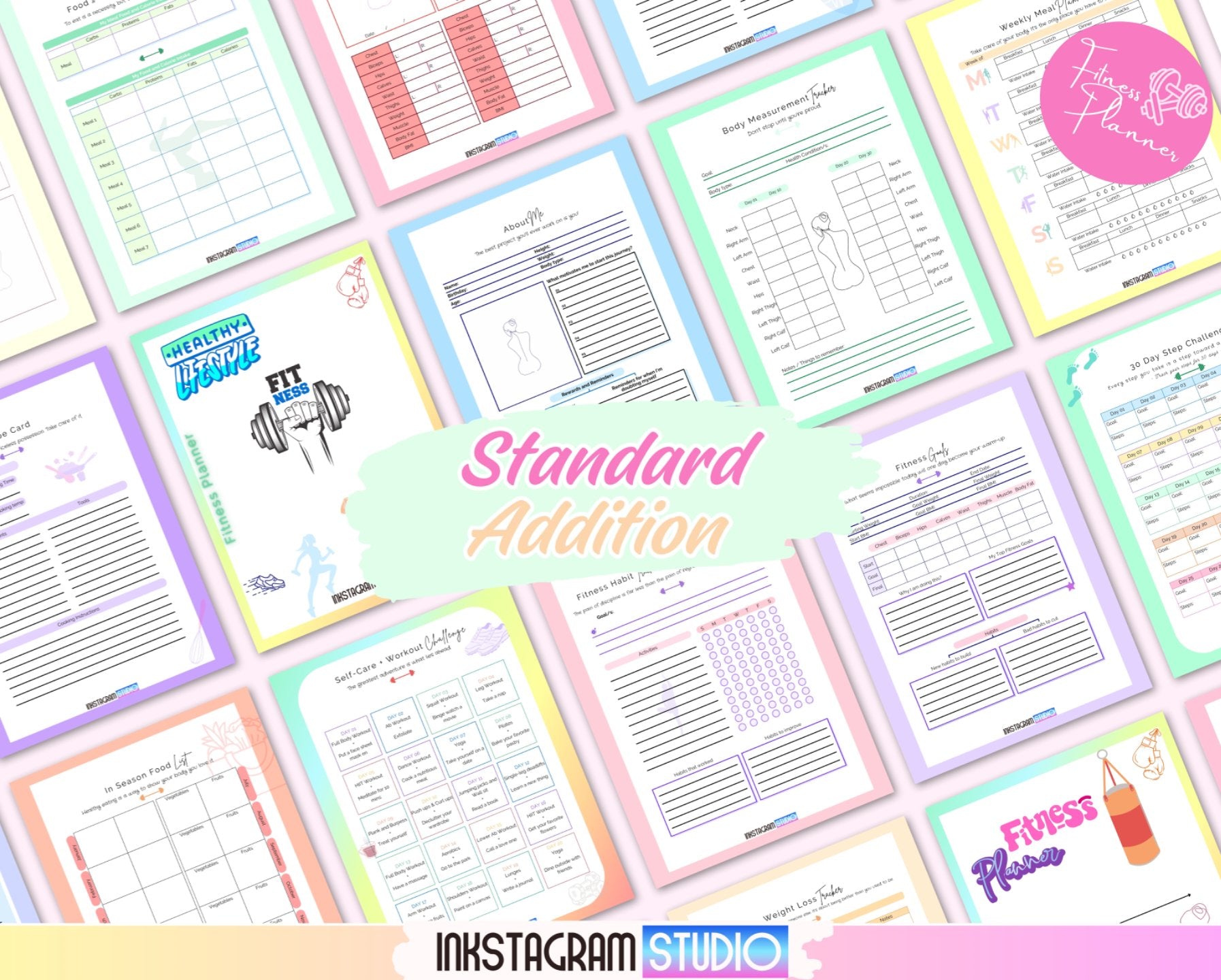 Standard Edition all-in-one fitness planner with colorful bordered pages showcasing workout and wellness tracking sheets.